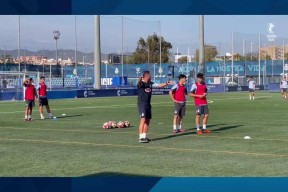 塔图姆遭遇十五持续失利，西班牙队教练压力巨大！ayx体育一键登录