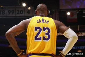 詹姆斯迎来十二赛季出色发挥，G2观众热烈欢呼！爱游戏赛事直播